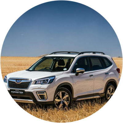 Ремонт Покраска Автомобиля Subaru Forester